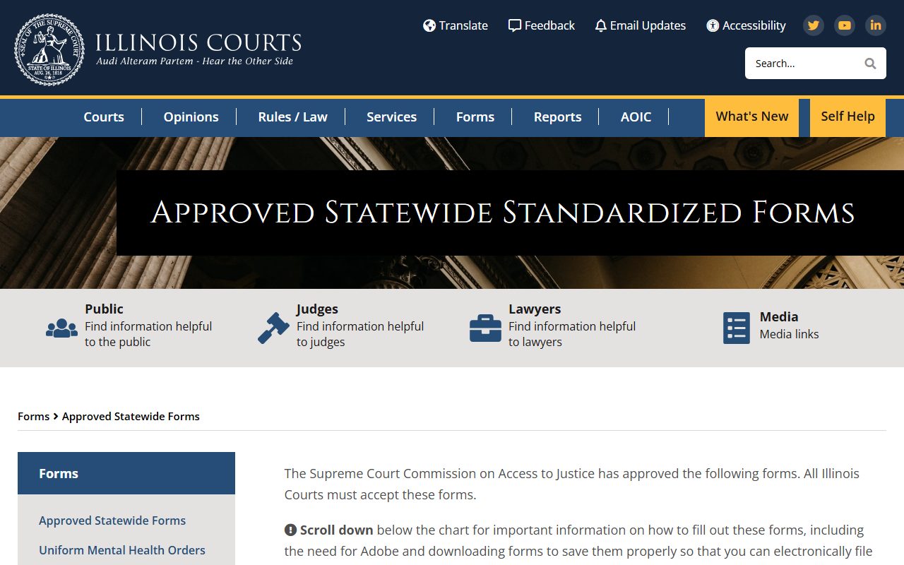 Illinois Courts approved forms used in Winnebago County traffic court records and contested cases